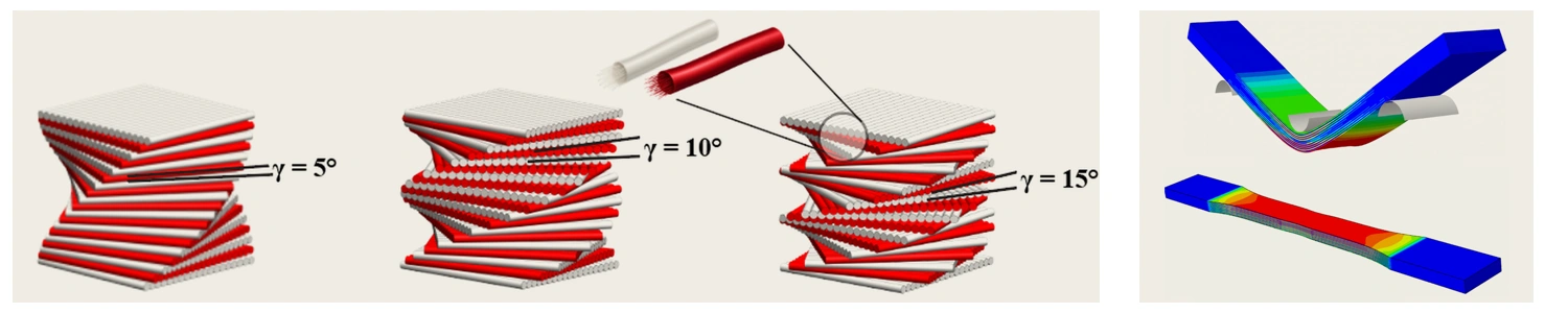 Bimaterial Bouligand structures